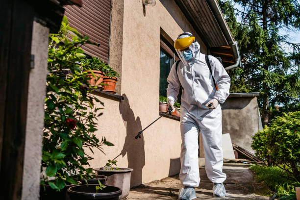 Best Pest Prevention Services  in Avoca, IA