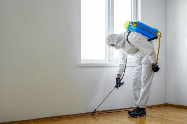 Best Wildlife Control Services  in Avoca, IA