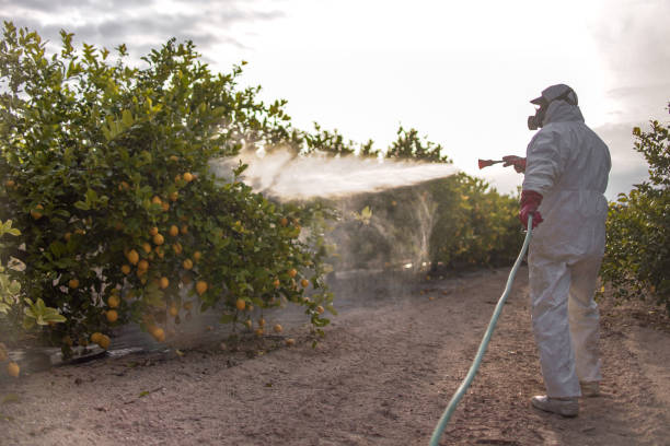 Reliable Avoca, IA Pest Control Solutions