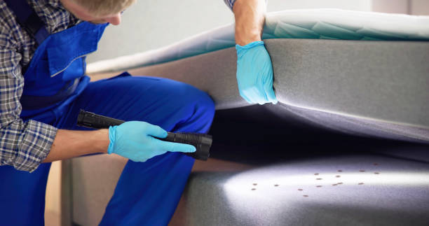 Best Pest Control for Homes  in Avoca, IA